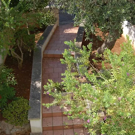 Casa Alfredo